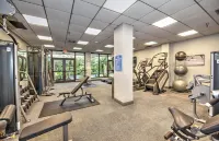 Newly renovated 2 Bedroom South Seas Tower 3 Crescent Beach South Marco Beach 주변 호텔