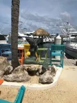 GOT Sunshine? We do ! Fly South to This Charming  Beach Cottage