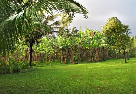 Couples & Honeymooners 전경