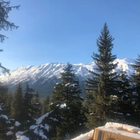 Stunning, New 2 bedroom Unit Minutes from Alyeska Resort