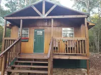 AMRock Cabin - Direct access to Ouachita National Forest and Wolf Pen Gap Polk County 호텔