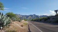 Cozy, Unique, Clean Condo walking distance from Sabino Canyon Tours!