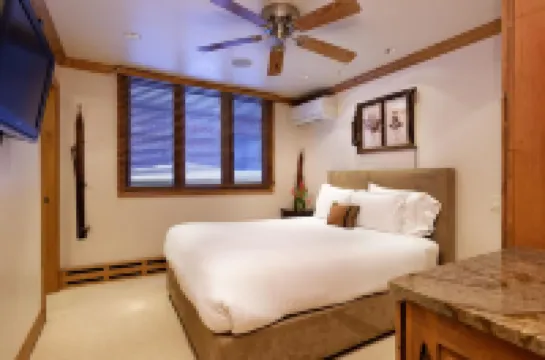 Pet Friendly & Luxurious 3 bedroom Aspen Condo