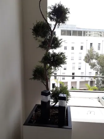 Beautiful T2 45 m2 Trottel district in Ajaccio Отели в г. Аяччо