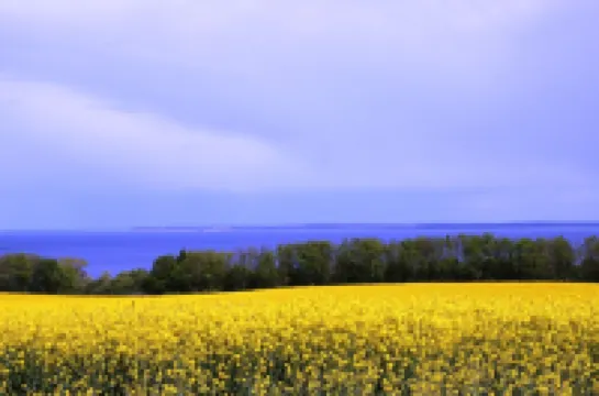 House Dua Ostseenah; 1.000qm garden; children's pool; 3 rooms; 2 bedrooms; WLAN