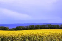 House Dua Ostseenah; 1.000qm garden; children's pool; 3 rooms; 2 bedrooms; WLAN Các khách sạn ở Nordwestmecklenburg