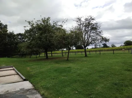 House in the countryside, 15 minutes from the beach. Отели в г. Плюдюно