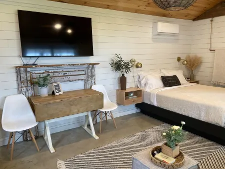 Modern, cozy, Studio Apartment