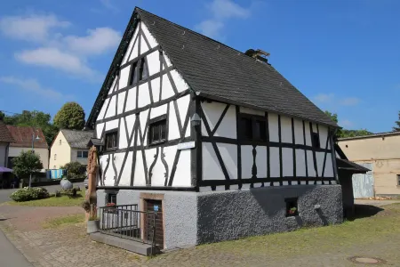 EifelNatur 8, large family apartment with terrace and barbecue, pets welcome