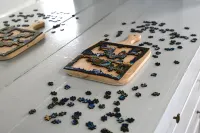 Cozy Blue Cottage Hotels in Willcox