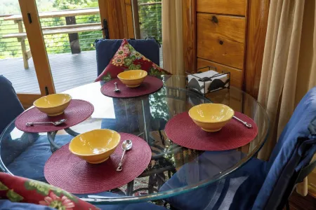 NEW! Luxury Nantahala Cabin with Mtn Views, SoakTub, Fire Pit