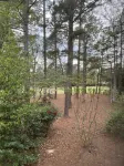 Charming Pinehurst Golf Front Condo
