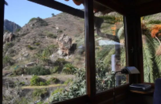 C. Rural Risco Padrón: Beautiful old house in an environment of total tranquility