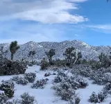 Charming 3-bedroom house with Hot tub, AC and WiFi in awesome Joshua Tree!