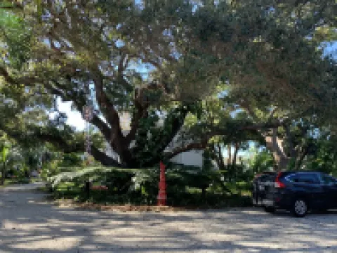 Funky coconut luxury apartment Hoteles en Dunedin