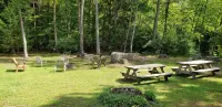 4 bedroom, Secluded 13 Acres on Bennetts Branch of the Sinnemahoning Creek.