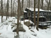 Log Cabin on A Lake with Private Dock & Beach! One Hour from NYC! No Pet Fees! - Wifi