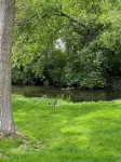 Abbey Ridge Ranch Style Condo Conveniently located in the resort community