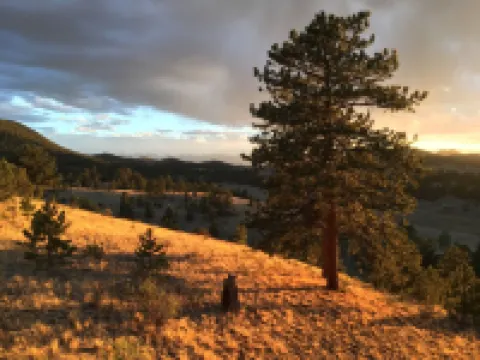 Mountain house overlooking Bear Basin Valley and the Sangre de Cristo Range.