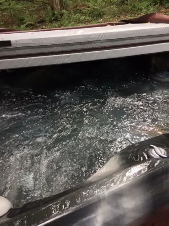 Cozy/Chic Cabin (ISOLATED RETREAT Binghamton NY