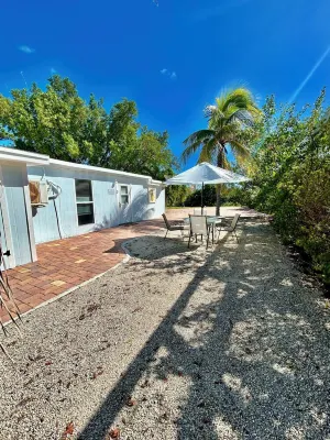 Fall and Holidays Season at Hidden Hammocks.