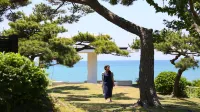 Hatoyamaso Shoan - بار