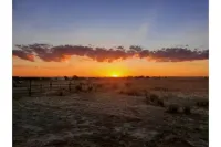 Sunshine Casita! A Quiet Country Setting. Short Drive to Palo Duro Canyon.