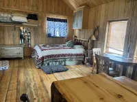 Togwotee Pass RamsHorn Peak Cabin + 15 Acres, Great View, Animal Friendly.