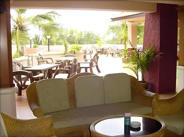 รูปภาพของปลาโลมา คลิฟ