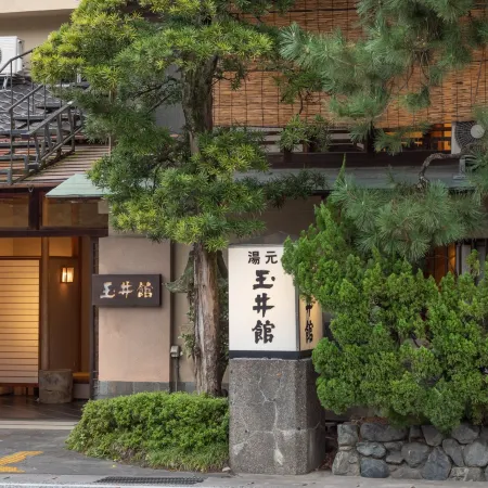 Tamaikan