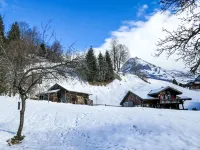 Chalet Schwendihus