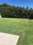 Sandy Shells Beach House Sawtell