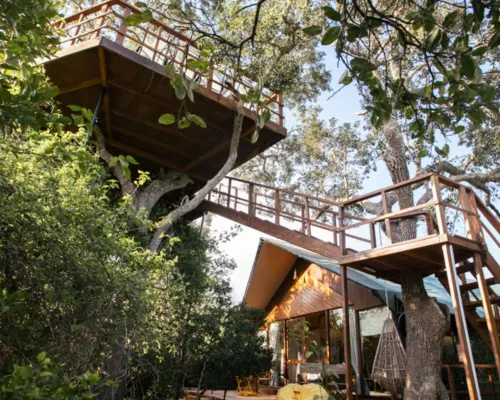 Tribe Yala - Luxury Camping Hotels in Yala