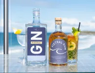 Fistral Beach Hotel and Spa - Adults Only - bar