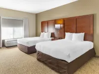 Comfort Suites Wilson - I - 95 Hotels in Wilson