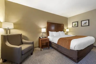 Comfort Inn Hoteles en Municipio de Madison