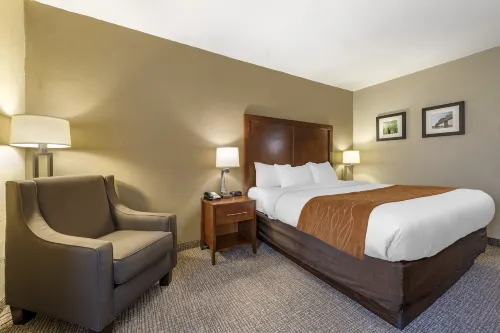 Comfort Inn Hotel di Madison