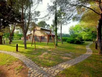 Comfortable Cottages in Loro Ciuffenna
