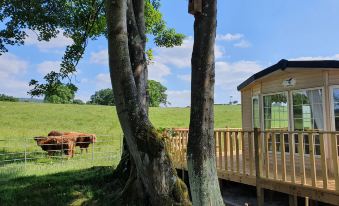 Gaerhyfryd Static Caravan & Family Friendly Site