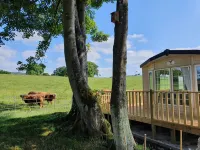 Gaerhyfryd Static Caravan & Family Friendly Site Hotels in Ceiriog Ucha