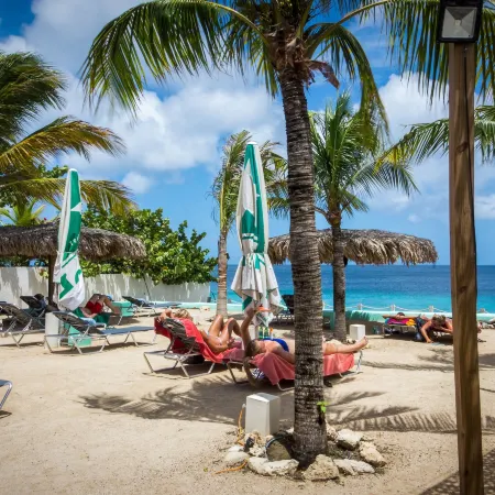 Grand Windsock Bonaire