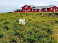 Skálatjörn Guesthouse Hotel a Flóahreppur