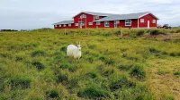 Skálatjörn Guesthouse Các khách sạn ở Flóahreppur