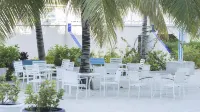 Belize Dive Haven Resort & Marina - bar