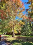 July 4th Weekend Available!  Charming 3B-2B Cottage by Fall Creek Falls!