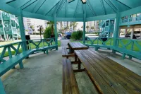 Dedicated Beach Access and Landscaped Pool Area - Charming Coastal Haven
