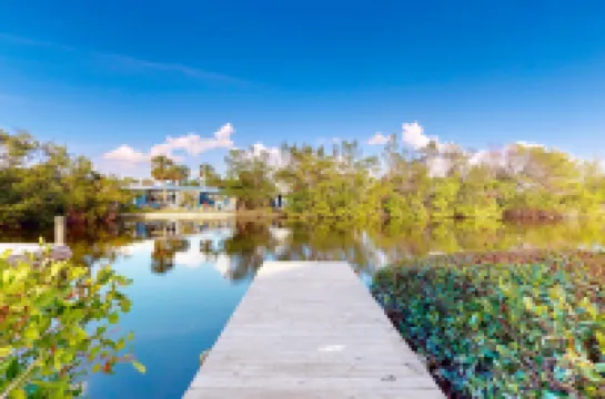 Spectacular Saltwater Seas