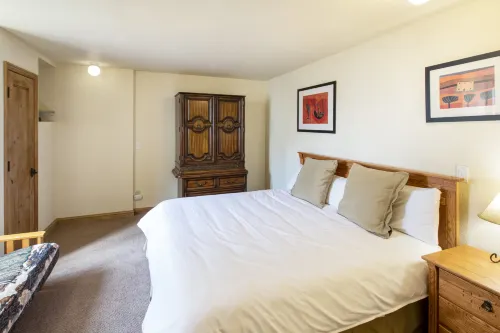 Ski in Access and Scenic Views - Charming Alpine Retreat