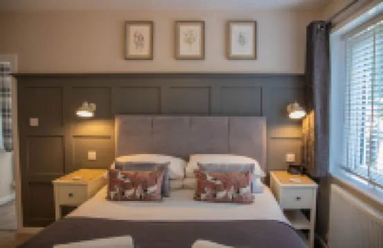 River Mist Hotels in 