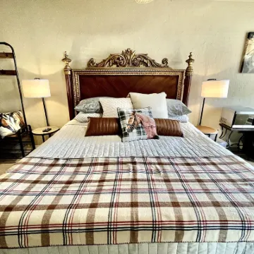 Shamrock Cove Inn Hotels near Blue Spring